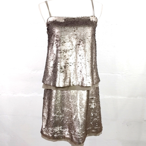 Banana Republic Silver Sequin Chiffon Party Cockta - Picture 4 of 11